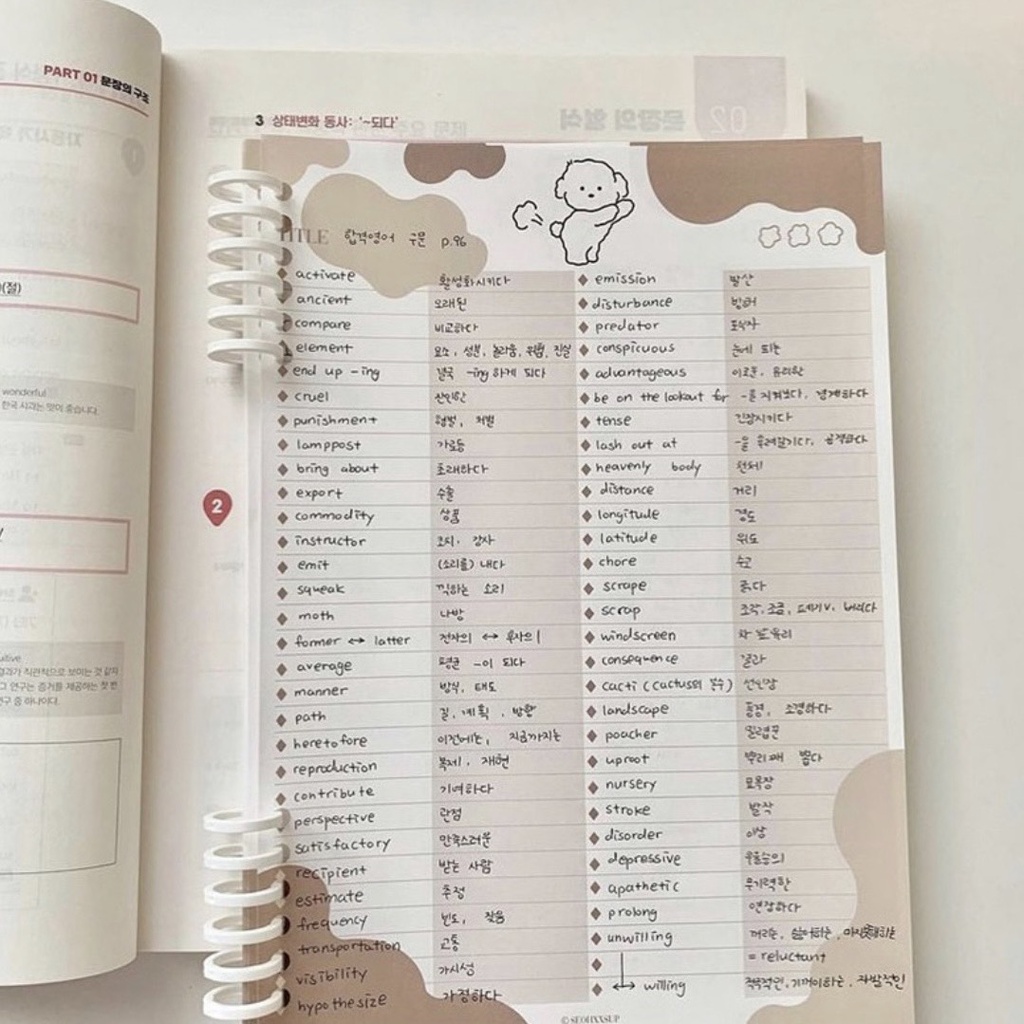 Giấy note ghi bài B5 hình gấu