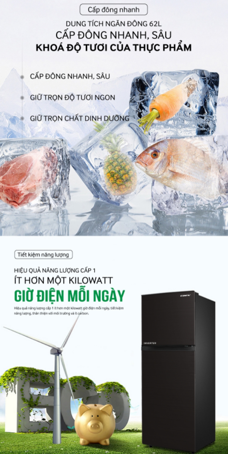 Tủ lạnh 2 cửa Inverter Coex RT-4005BS 255 Lít