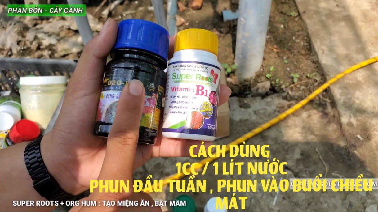 [Có video hướng dẫn] Bộ 5 lọ kích rễ, mập thân, dưỡng lan
