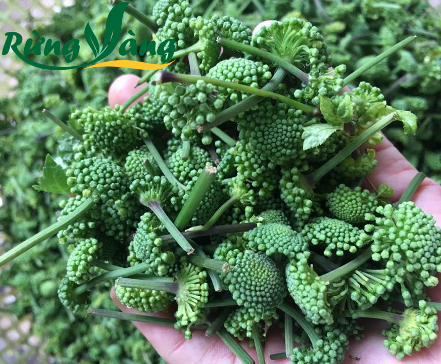 Nụ hoa Tam Thất Bắc sạch loại 1 500g