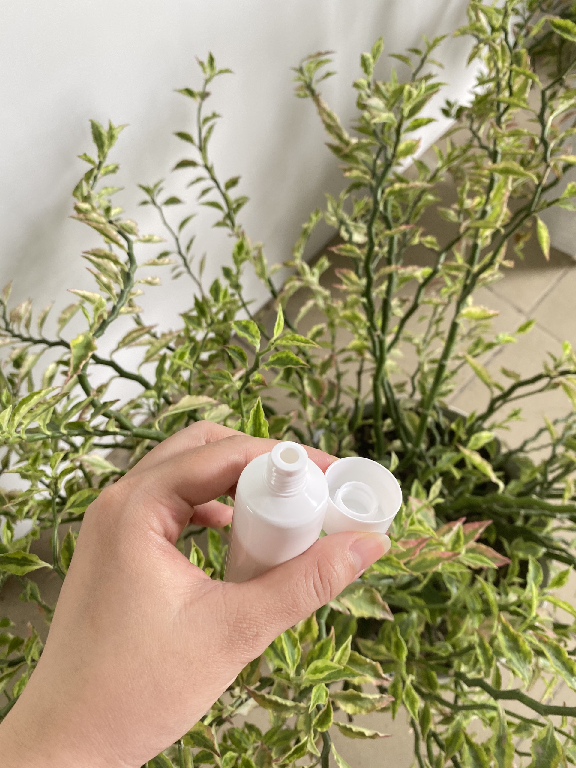 Combo 5 tuýp nhựa nền trắng 50ml (Fi30) (Bộ nắp vặn và vòi)