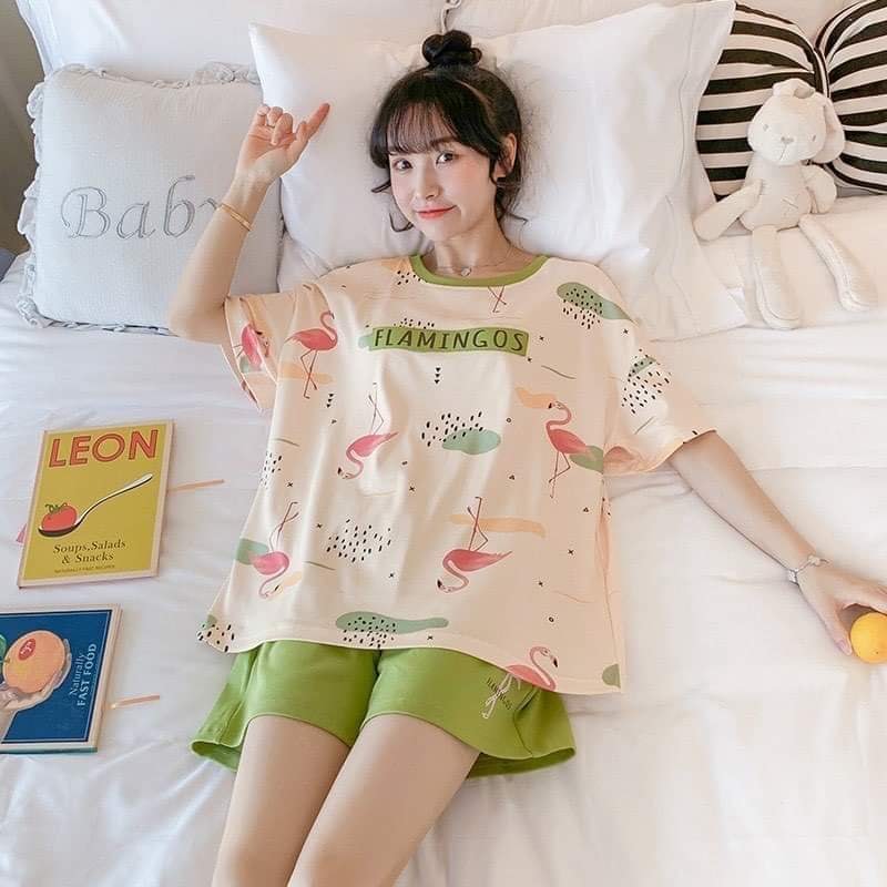 Bộ đùi mặc nhà
