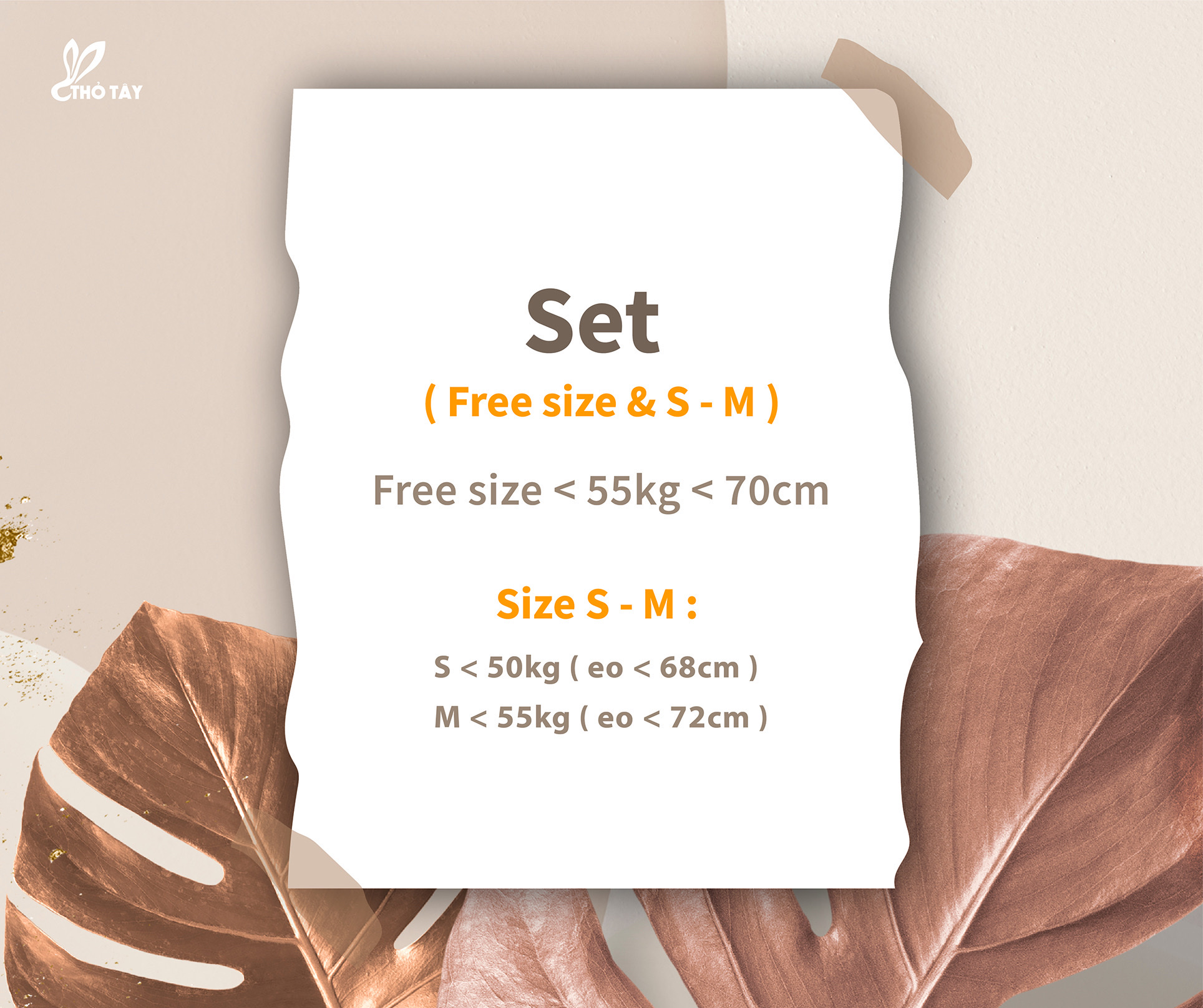 Set Bộ Nữ Nhún Eo Phối Ren - THỎ TÂY S379D29
