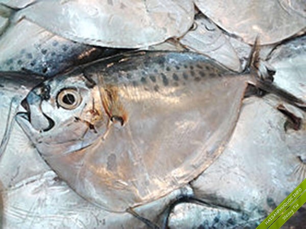 Kho ca luoi bua