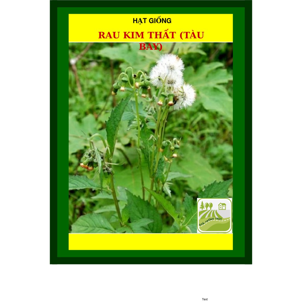 1g - hạt giống rau kim thất