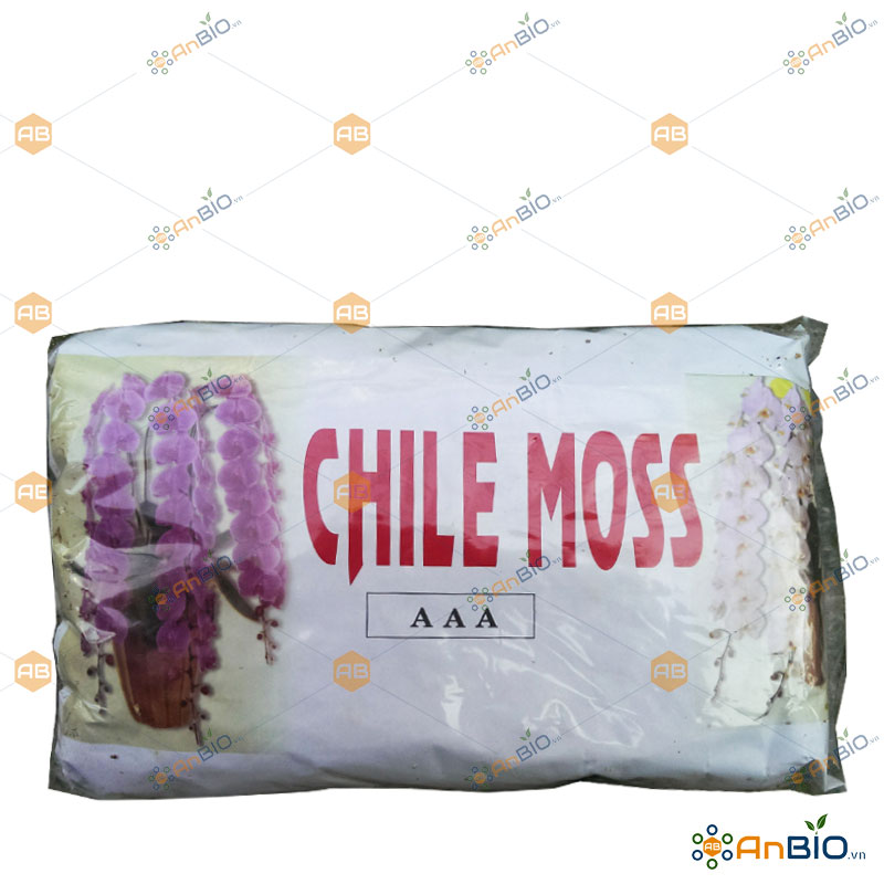 [HCM]DỚN TRẮNG CHILE MOSS AAA Gói 100g GIÁ THỂ TRỒNG LAN - A6.1003