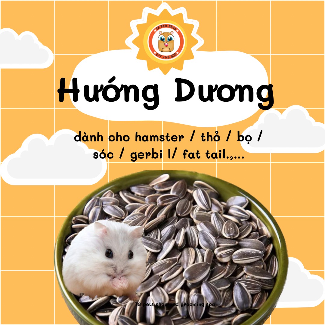 Hạt hướng dương dành cho hamster / thỏ / bọ / sóc / gerbi l/ fat tail.,...