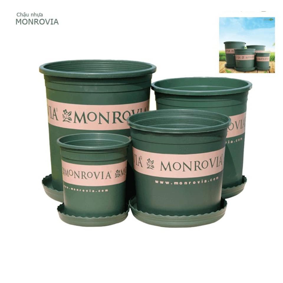 CHẬU NHỰA TRỒNG CÂY MONROVIA ĐỦ SIZE