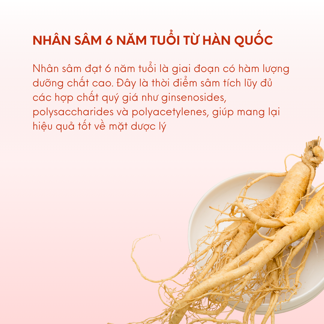 Mật Ong Nhân Sâm Miele 250g, 400g