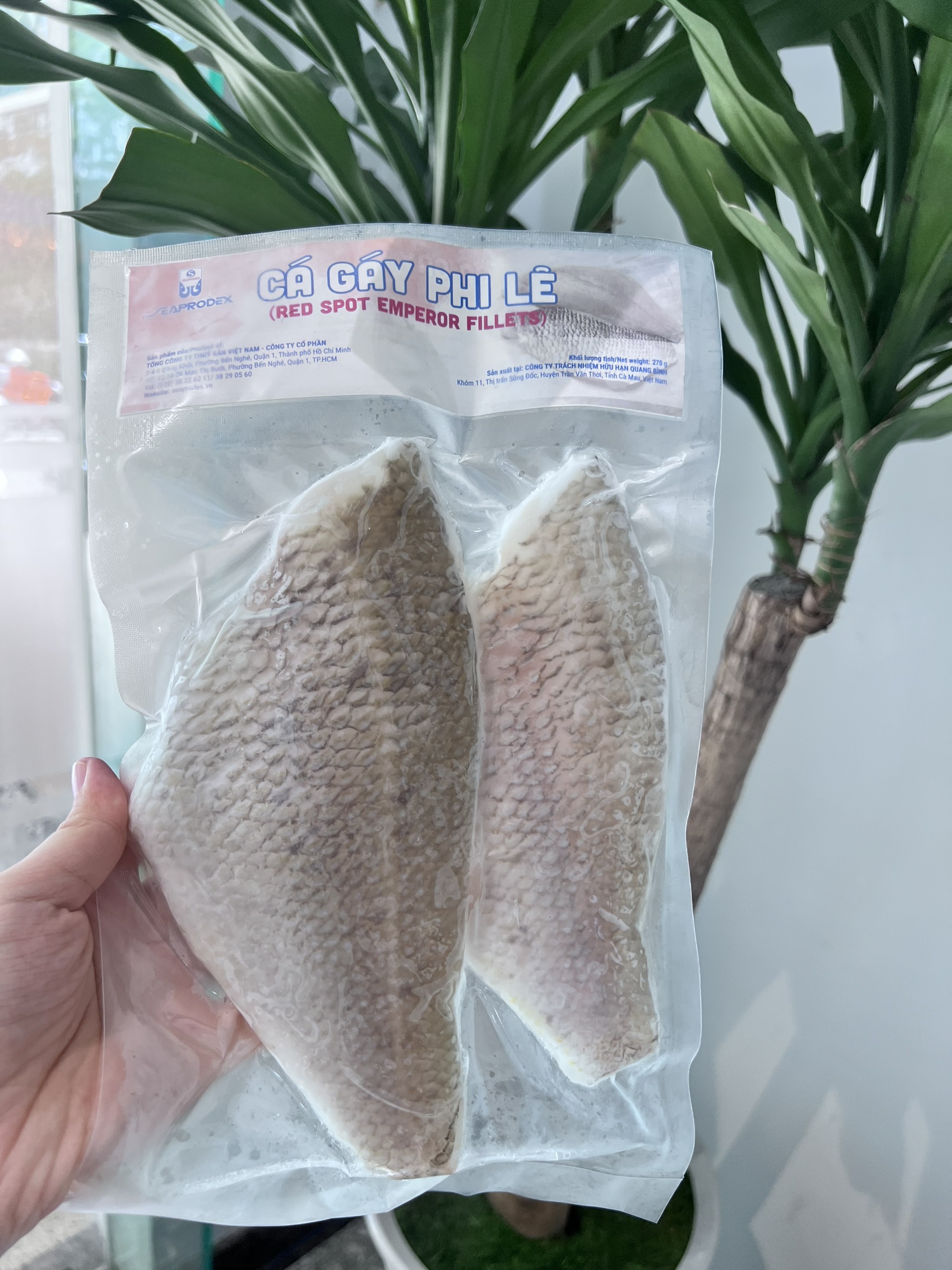 CÁ GÁY PHI LÊ SEAPRODEX-270G