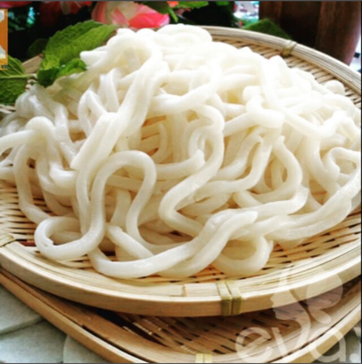 Combo 10 Gói Mì Udon Tươi - Mì Fresh Udon (200G/Gói) 삼립) 후레쉬 우동 200g