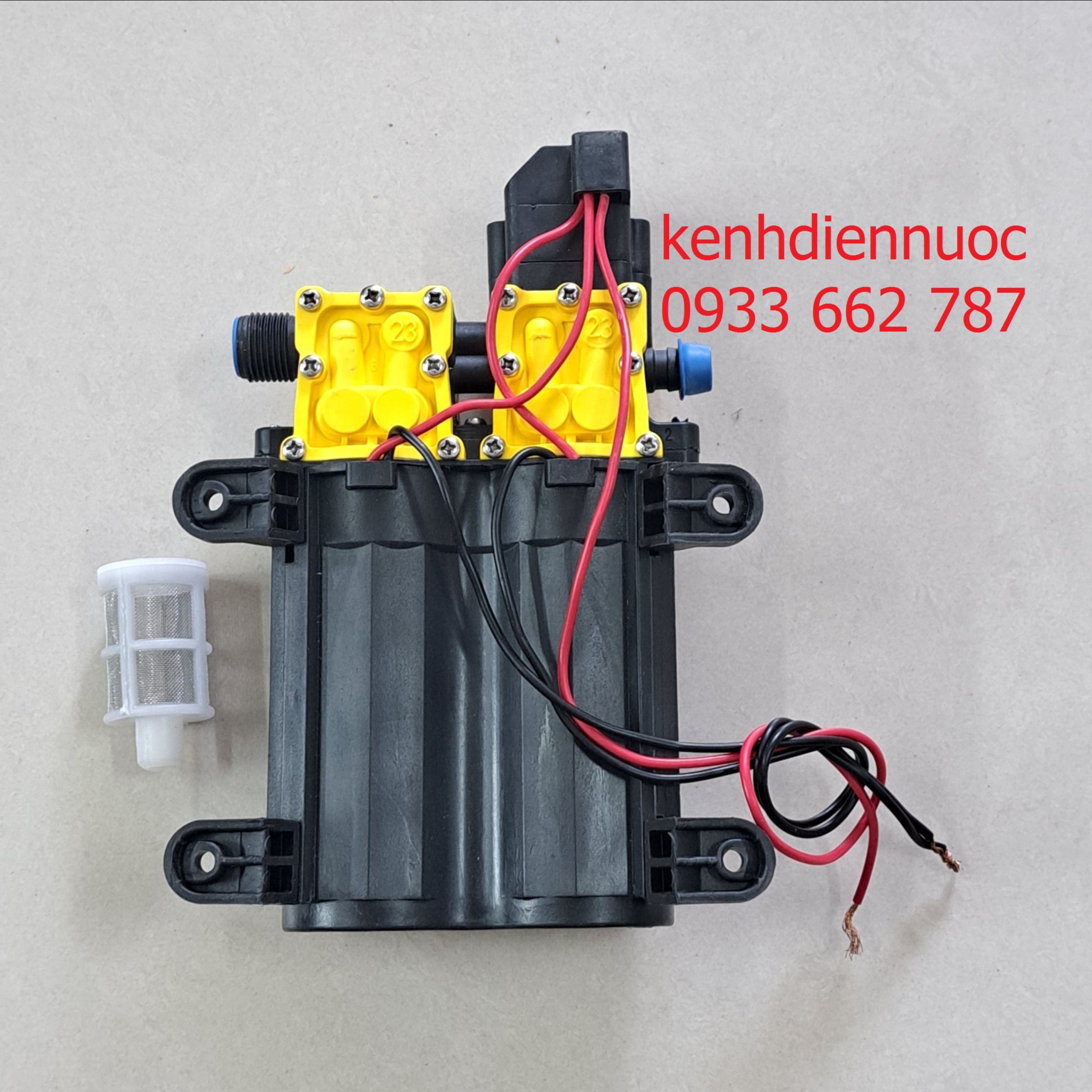 Máy bơm đôi/ bơm kép 12V dùng phun thuốc, tưới cây