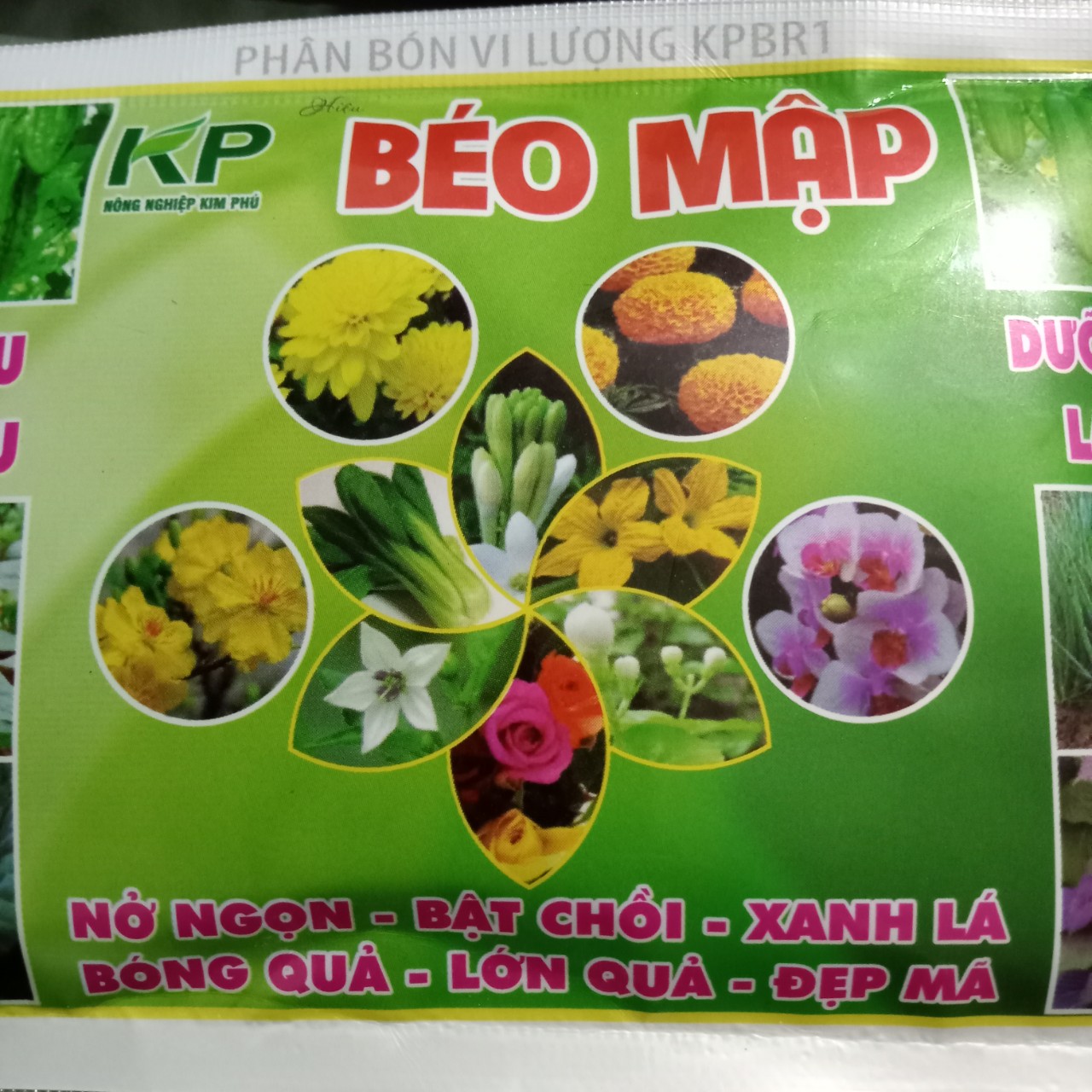 Phân bón béo mập (gói 70g) , mập ngọn, bật chồi nhanh, xanh lá