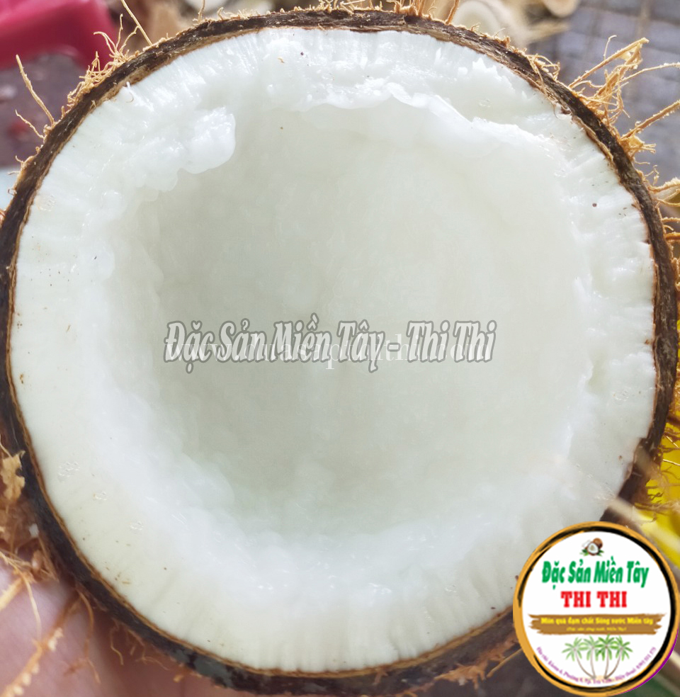 Dừa Sáp Loại 3 Trái Lớn (Size 1.1Kg-1.3Kg)
