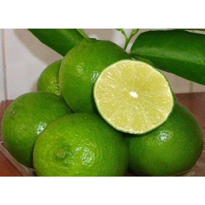 Cây chanh tứ quý giống