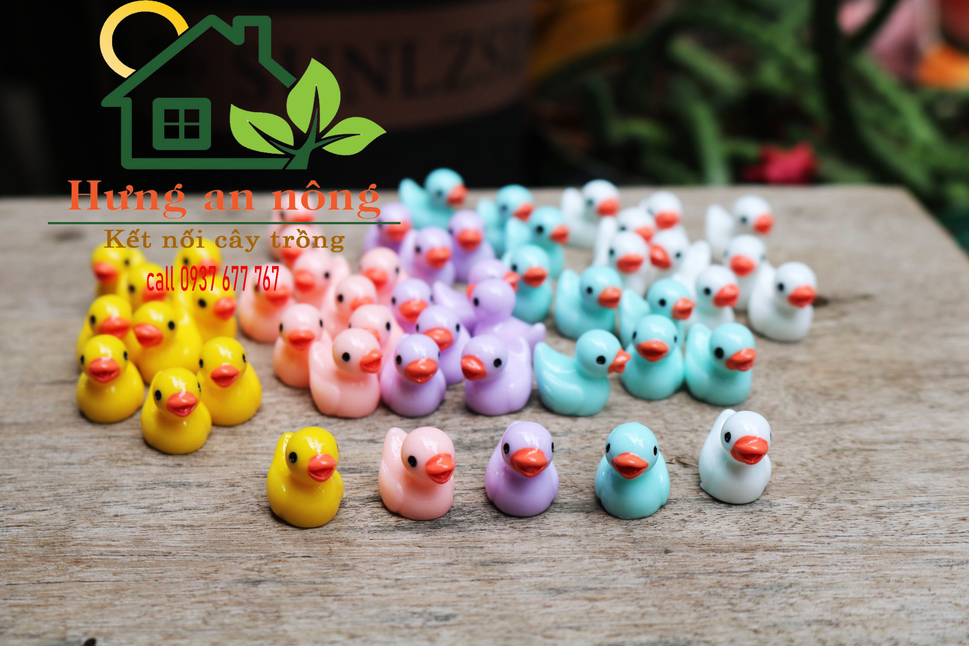 TT18 - sét 10 vit màu mini trang trí tiểu cảnh