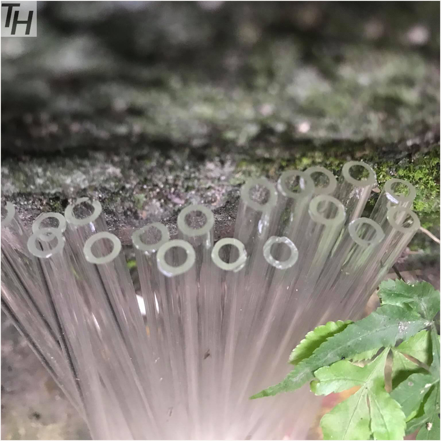 ống thủy tinh 40 đoạn fi6 dài 20cm