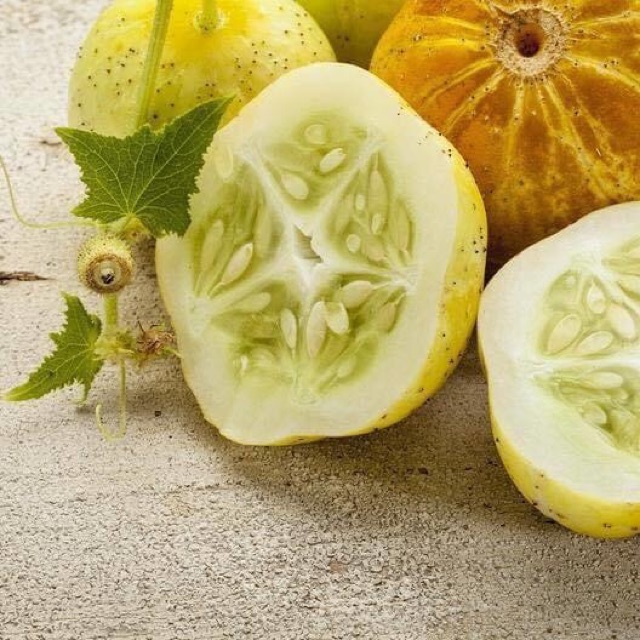 Hạt Giống Dưa Chuột Baby Lemon