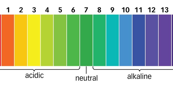 Giấy quỳ tím đo độ PH Viethealthy