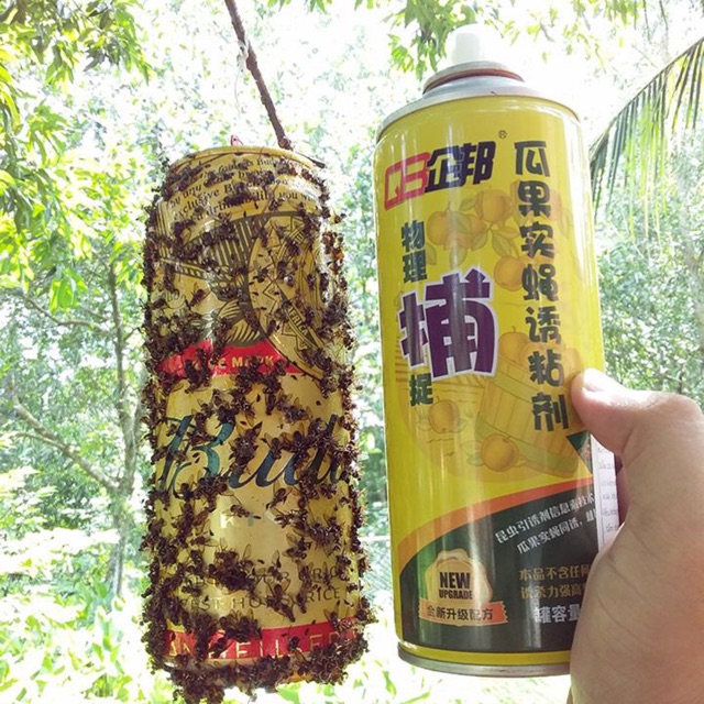 Chai Xịt Ruồi Vàng 450ml Keo Dính Bẫy Ruồi Vàng – Keo Xịt Bẫy Côn Trùng, Bẫy Ruồi Vàng Trên Cây Ăn Trái Hiệu Quả