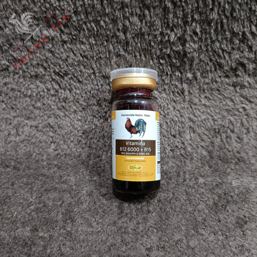 B12 6000 + B15 (Thuốc bổ dành cho gà đá cao cấp của MEXICO) - 1 lọ / 10ml