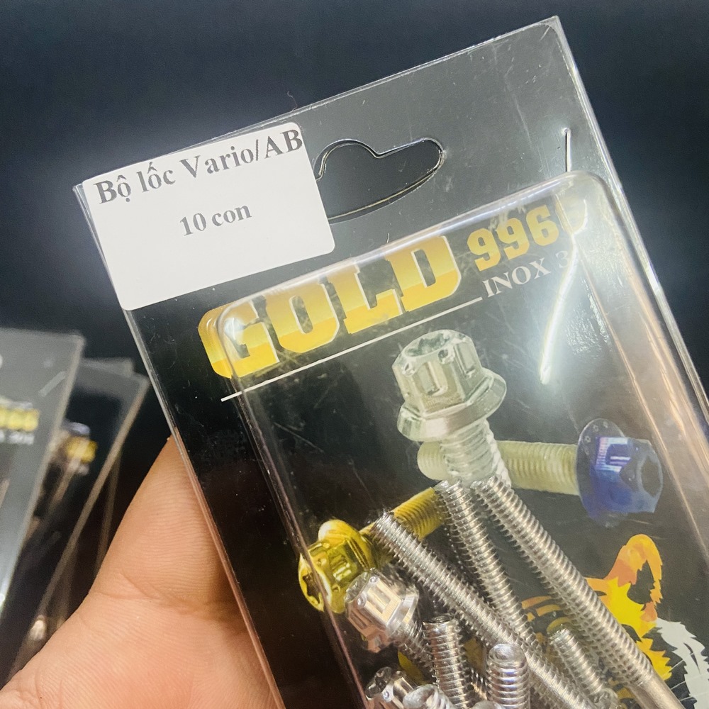BỘ ỐC LỐC MÁY SALAYA CHO SATRIA, RAIDER FULL