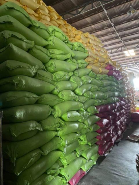 10kg Bắp / ngô nếp (dùng để nấu xôi bắp nhão)