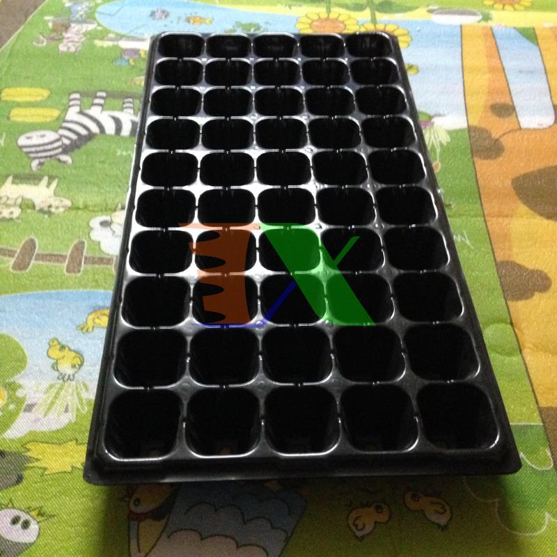 Set 5 tray nursery tree, nursery tray beads, blister ươm (50 holes)