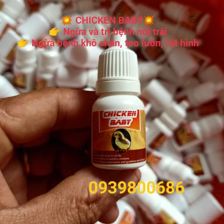 CHICKEN BABY........