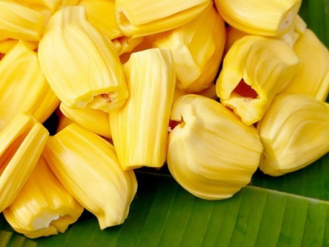 CÂY GIỐNG MÍT THÁI SIÊU SỚM - SIÊU TRÁI, NGỌT MÁT