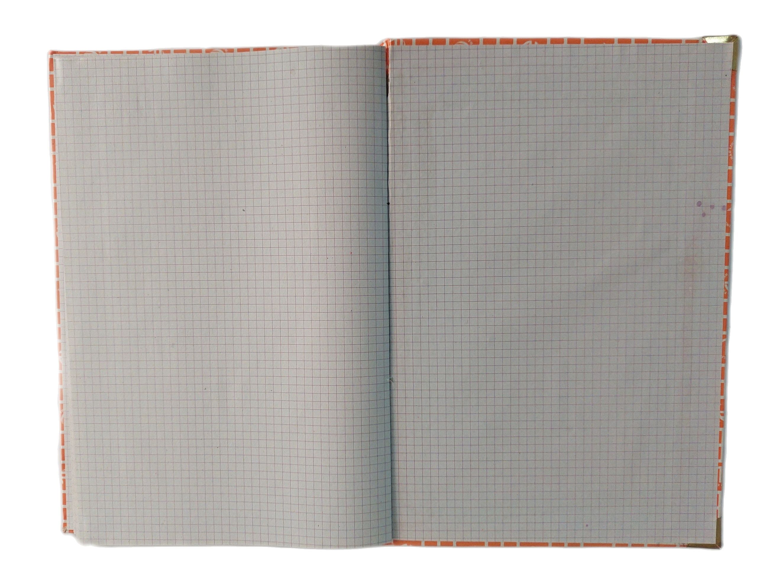 Sổ Caro Ghi Chép 21 x 33 cm (300 Trang)
