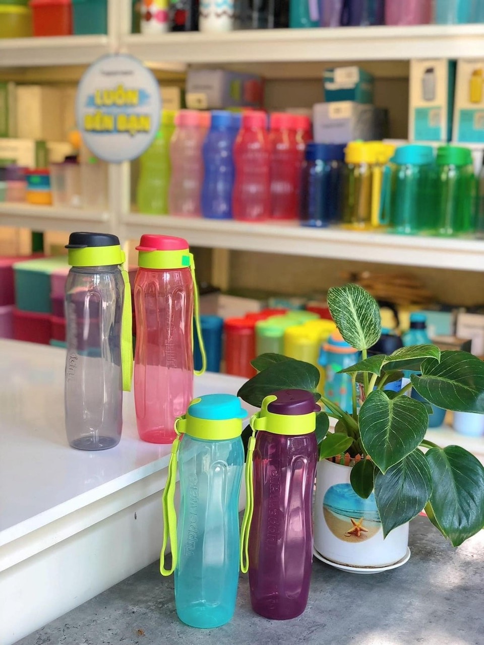 Bình Nước Eco Bottle Gen II 750ml TUPPERWARE