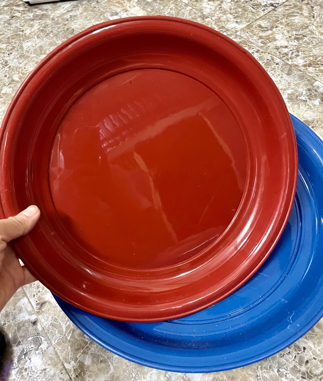 Khay, mâm, đế hứng phân chim cho các loại lồng tròn( chất liệu nhựa)