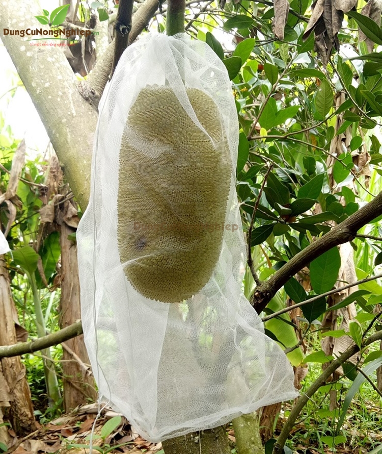 Lưới bao mít 40x50 - 100 túi - VTNT1