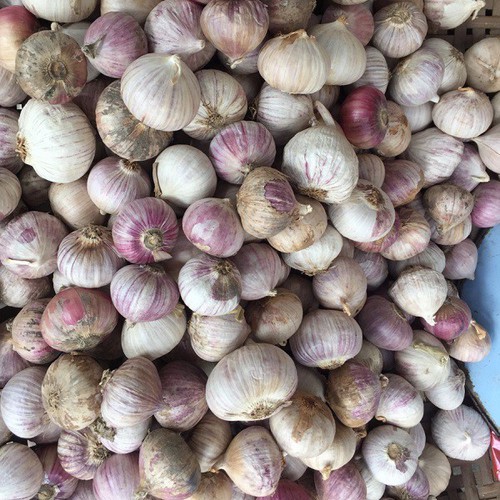 COMBO 5KG TỎI CÔ ĐƠN LÀM TỎI ĐEN