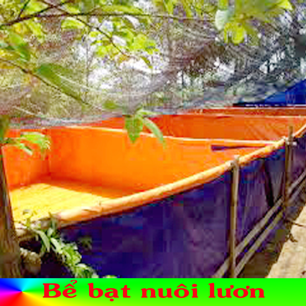 Bể bạt nuôi lươn ốc ếch cá kích thước 4m x 2m x 1m