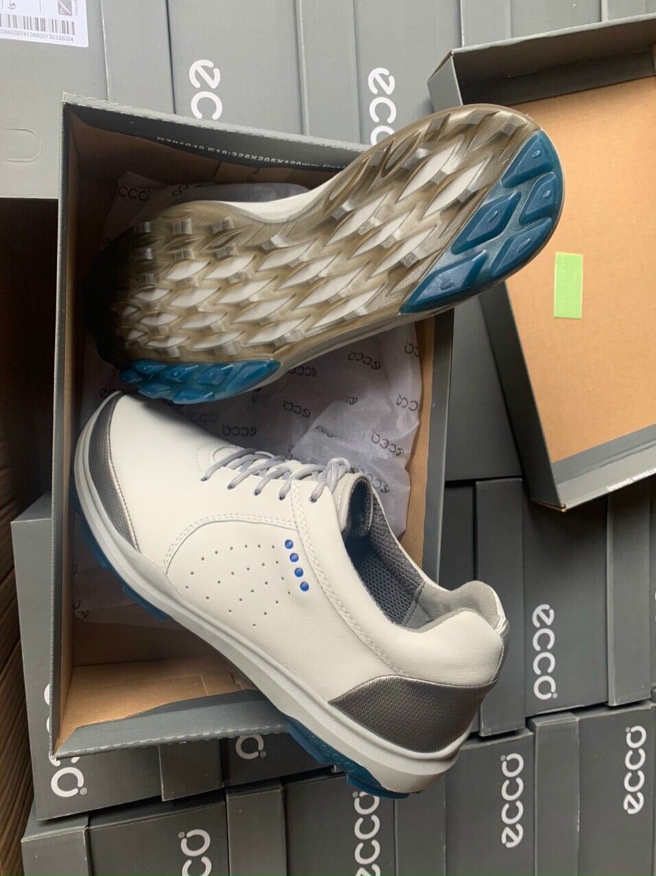 Giày Golf Ecco Nam