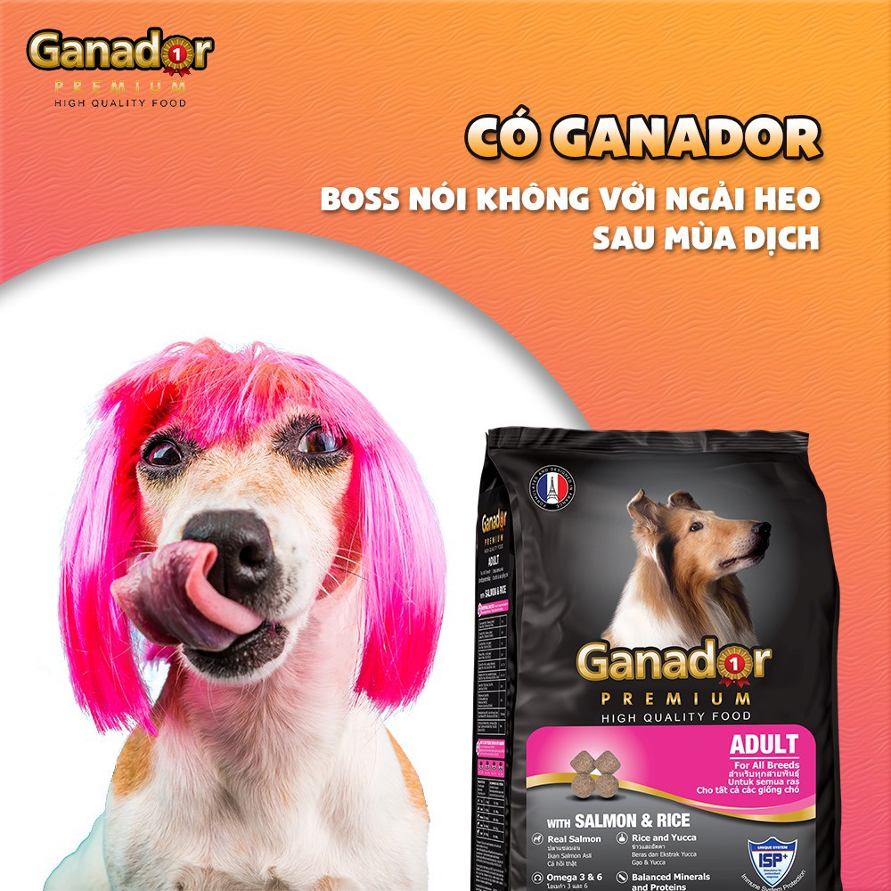 [3kg] Thức Ăn Hạt Cho Chó Ganador Nhiều Vị (Chó Con & Chó Lớn)
