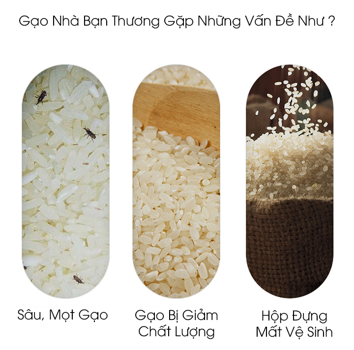 THÙNG GẠO THÔNG MINH ECOCO