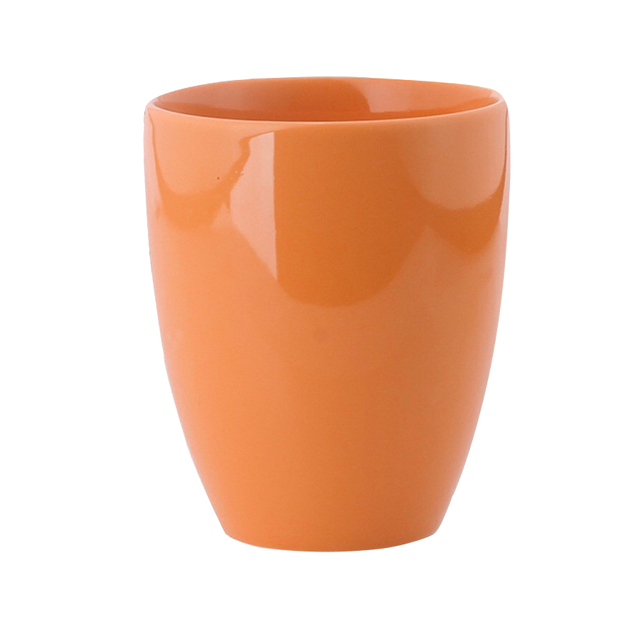 Bộ 6 ly sứ Donghwa C1409-05S6