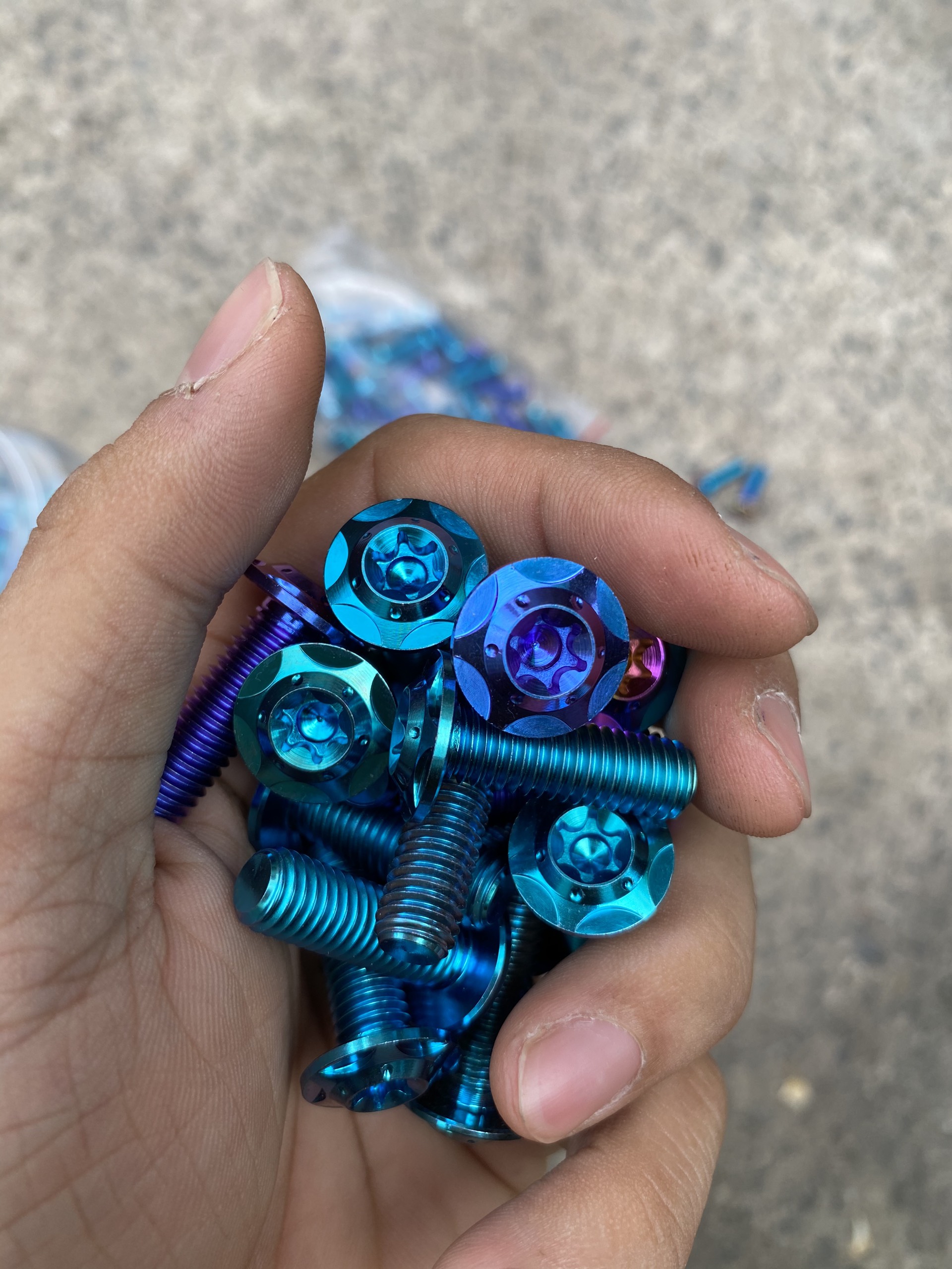 Ốc đĩa titan GR5 đầu SALAYA titanium giá 1 con