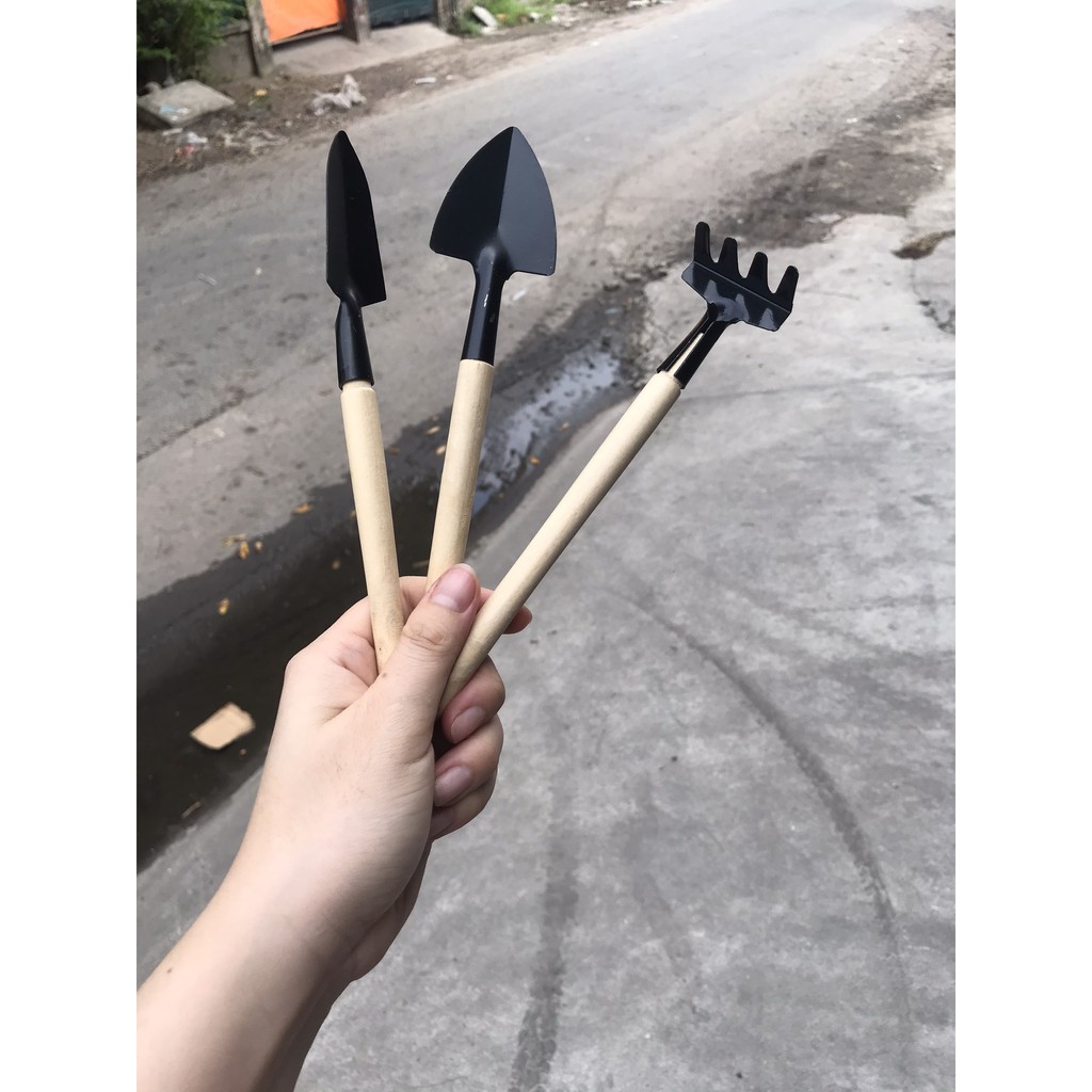Bộ Dụng Cụ Làm Vườn Mini 3 Món Tiện Dụng ( cán gỗ)
