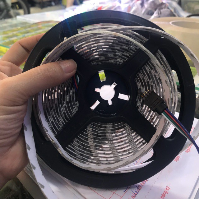 Hot-led quận 7 mầu 24v 5m