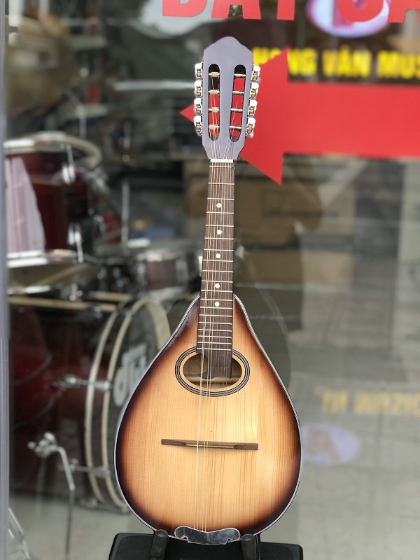 Đàn Mandolin Việt Nam