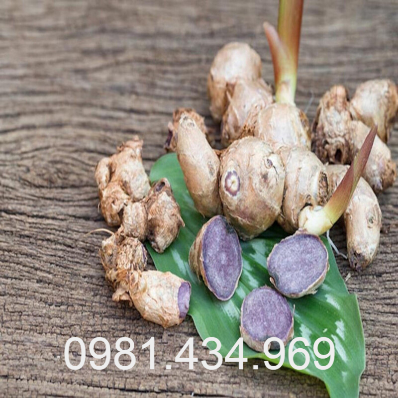 Gừng đen tươi 01kg chất