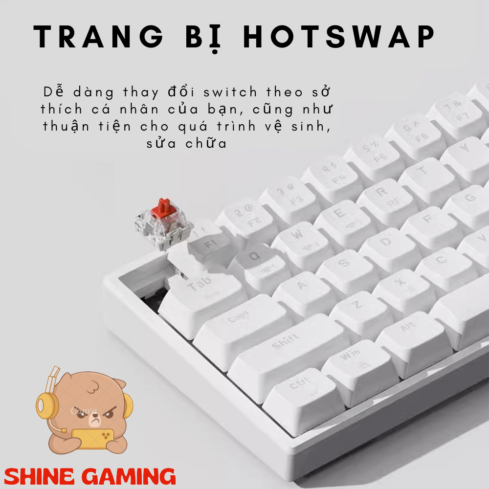 Co68 wireless mechanical keyboard-hotshoe support-gold switch - 3 mode convenient connection-RGB LED multi-mode