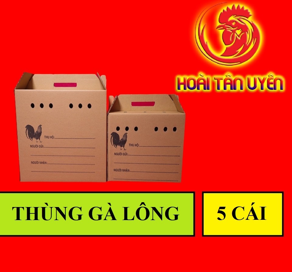 COMBO 5 THÙNG GIẤY ĐỰNG GÀ LÔNG