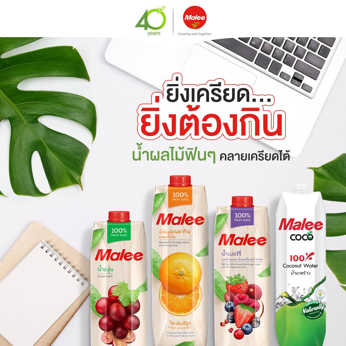 Nước Ép Nho Malee 1L - Nhập Khẩu Thái Lan | Malee 100% Grape Juice 1L