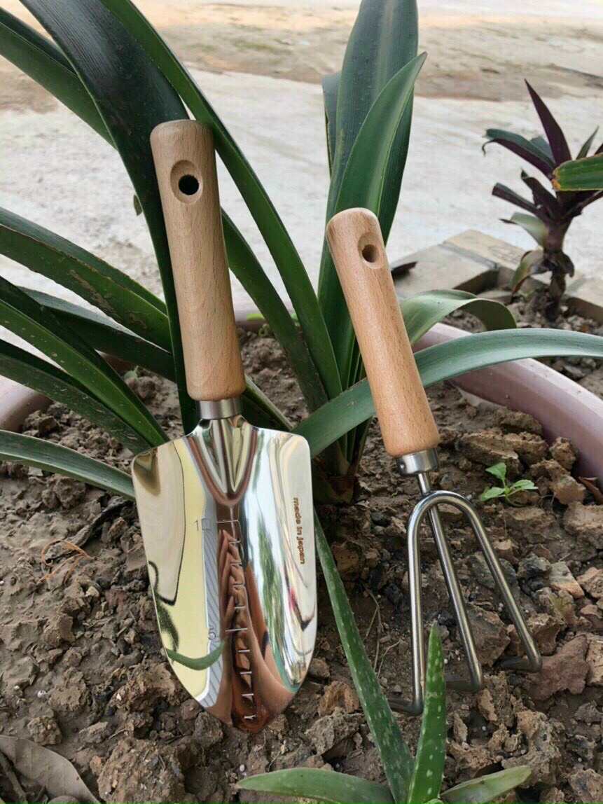 Bộ cào, xẻng mini làm vườn