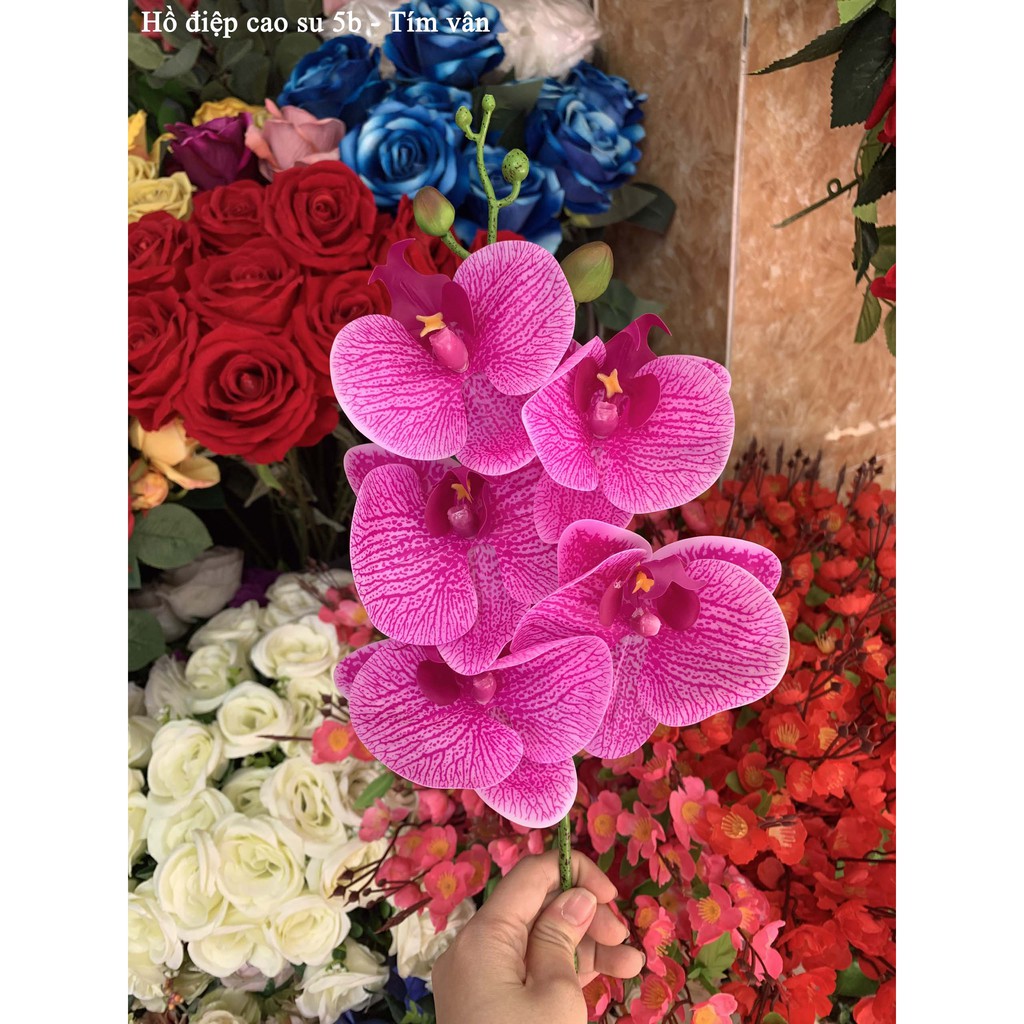 Hoa Lụa 🌺FREESHIP🌺 Lan Hồ Điệp Cao Su 5 Bông